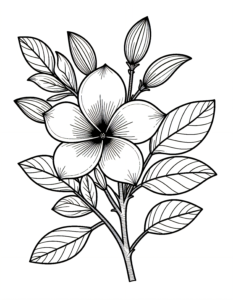 Coloriage Frangipanier