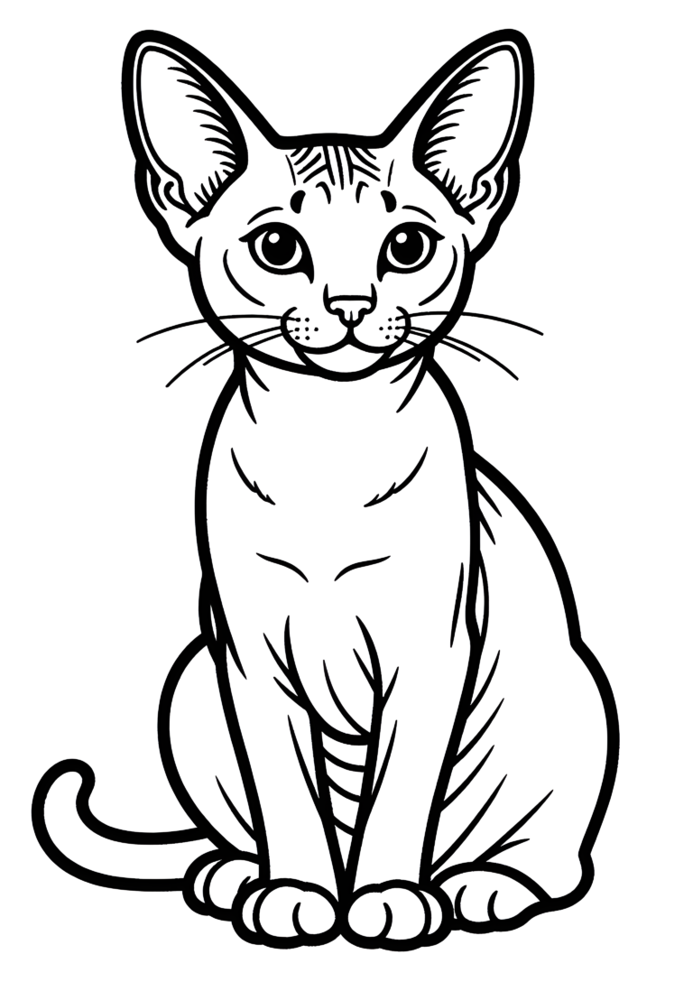 Coloriage Chat Oriental Shorthair À Colorier Facile à imprimer gratuitement