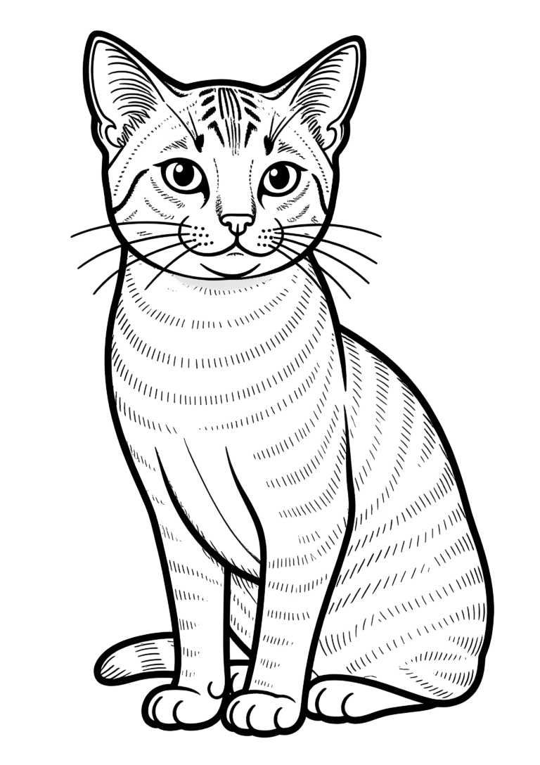 Coloriage Chat Abyssins Livre À Colorier Simple à imprimer gratuitement