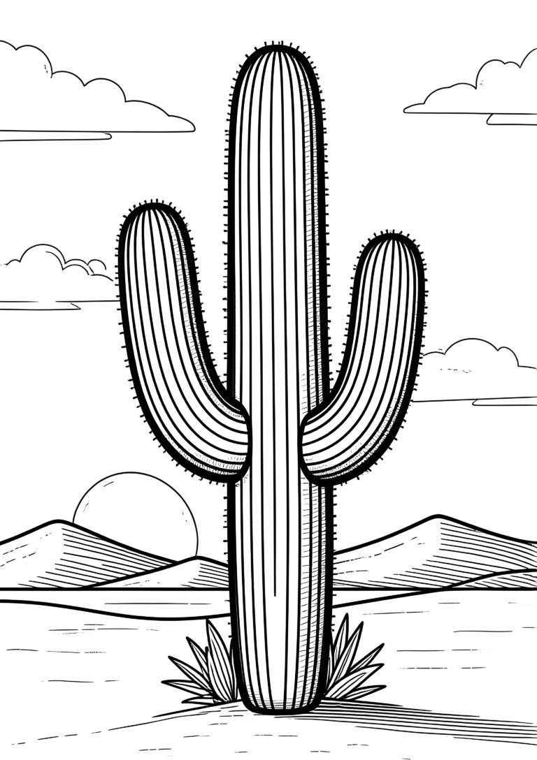 Coloriage Cactus Baril Au Couchant à imprimer gratuitement