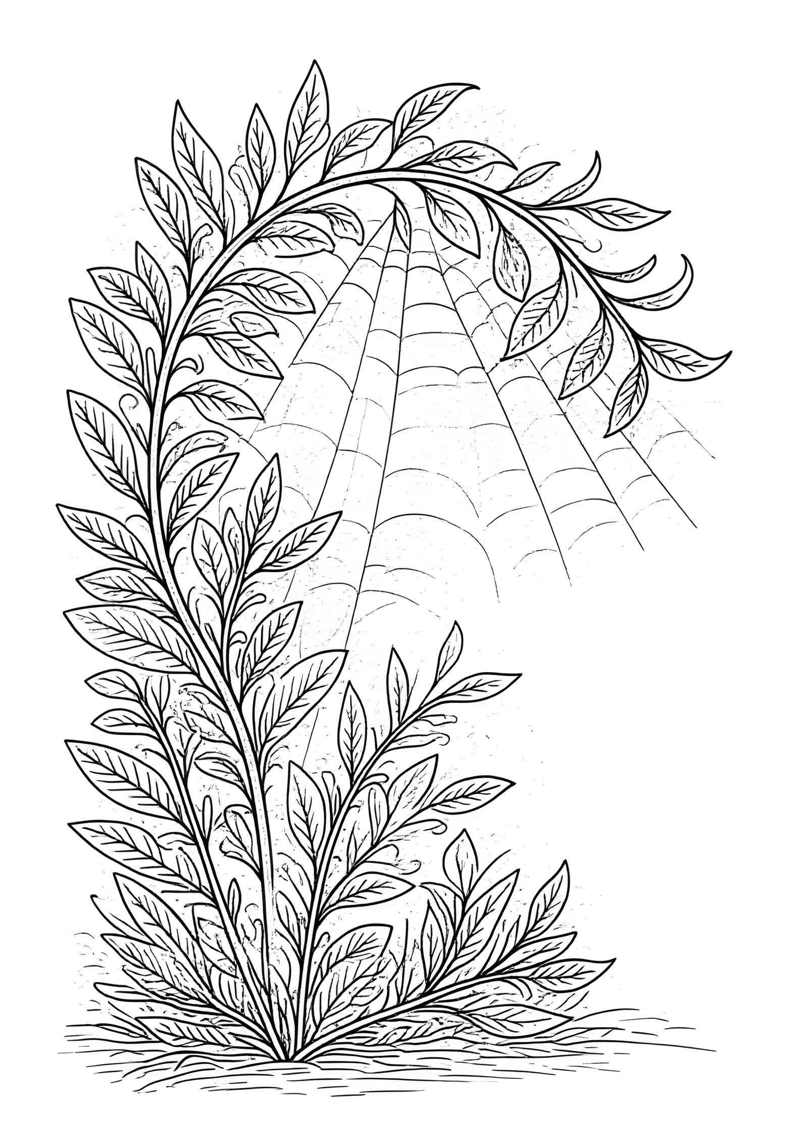 Coloriage Gnome Endormi Sous Arbuste, variante 1