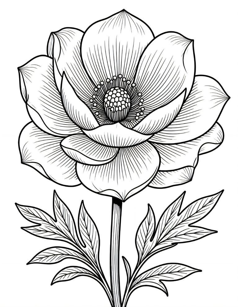 Coloriage Pivoine à imprimer gratuitement