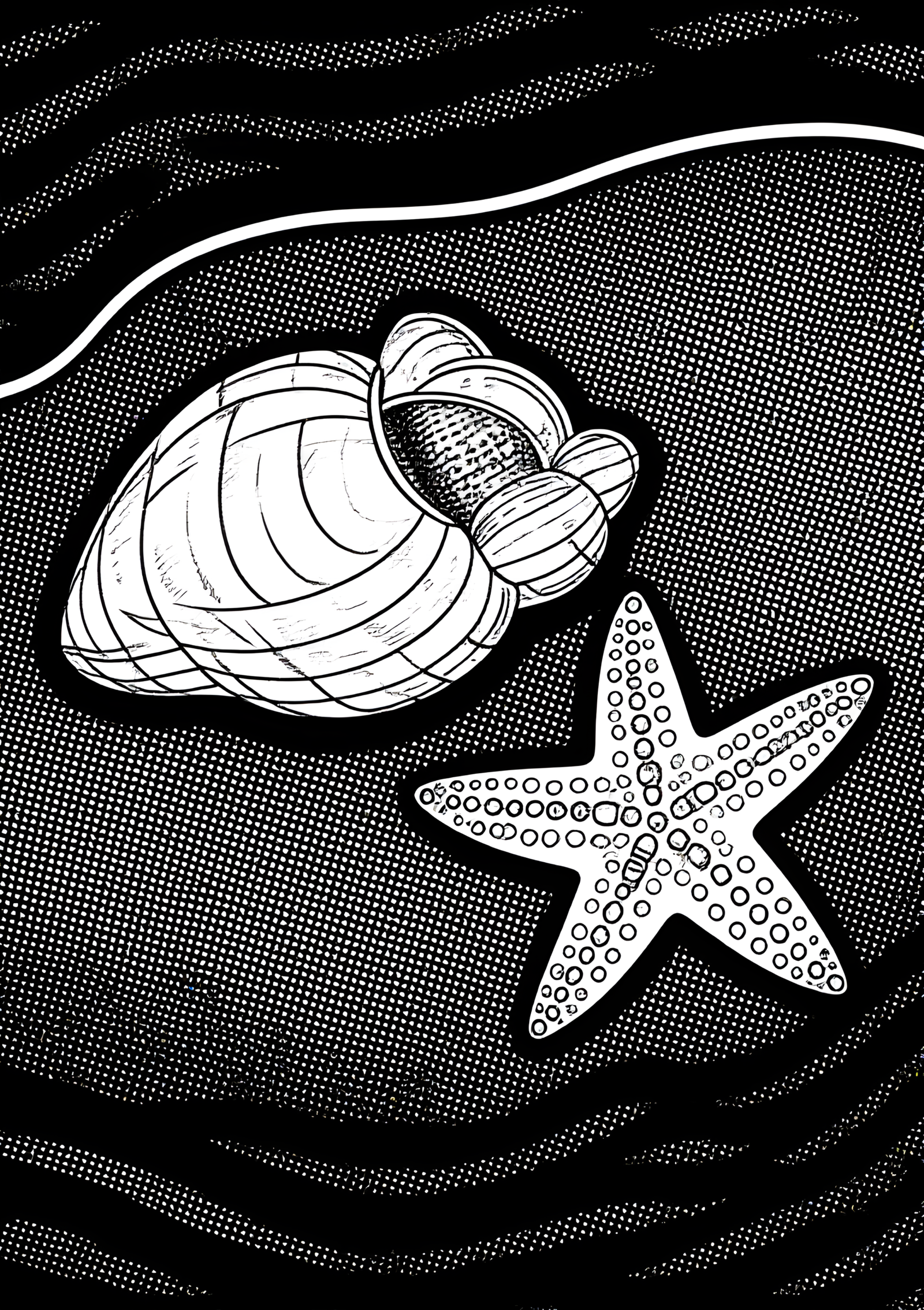Coloriage COQUILLAGE CYPRÉE, variante 2