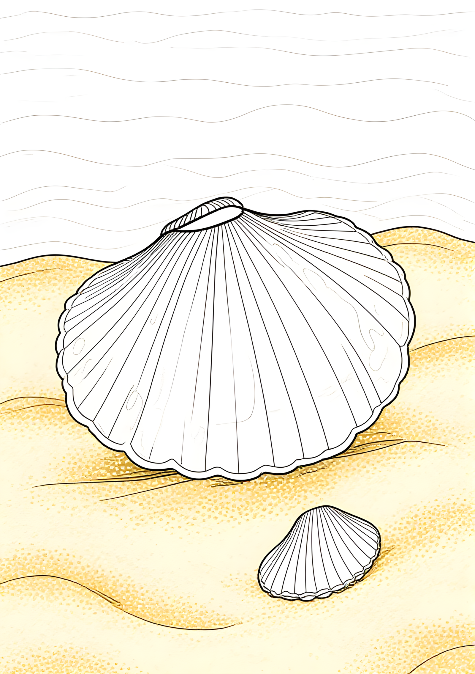 Coloriage COQUILLE D’ORMEAU NACRÉE, variante 2