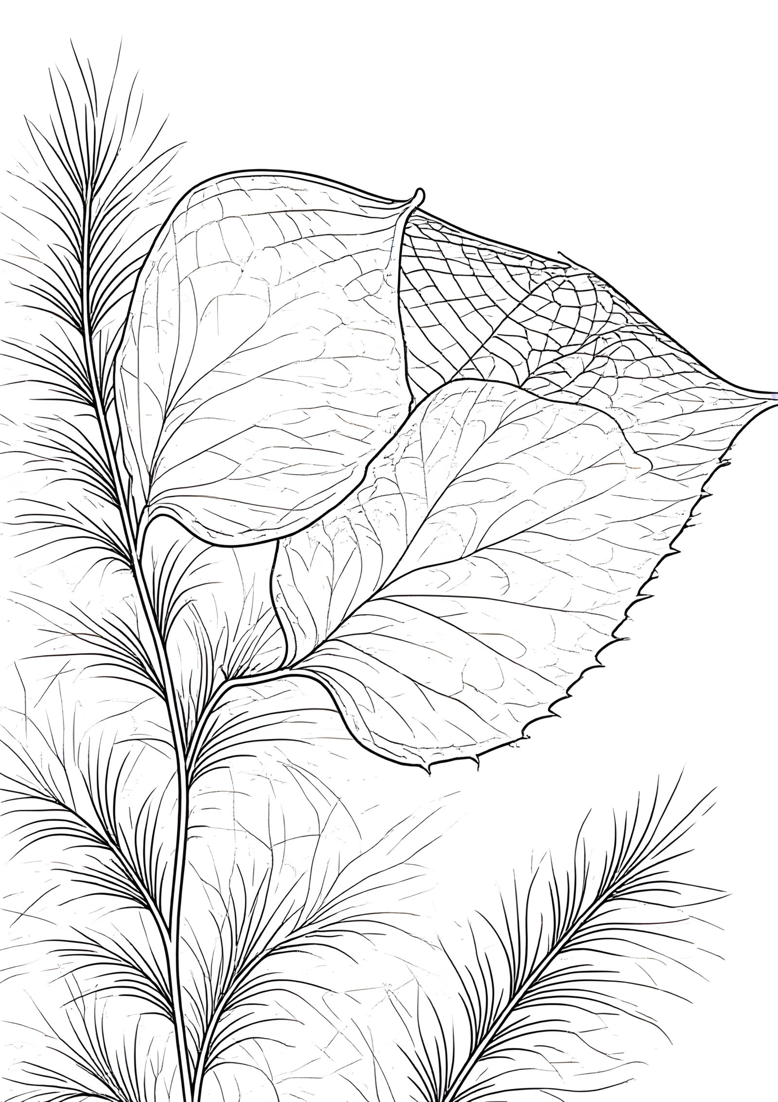 Coloriage Gnome Endormi Sous Arbuste, variante 2