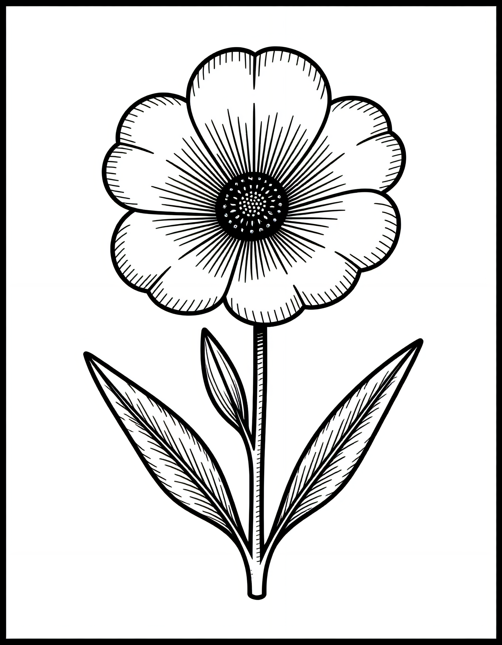 Coloriage Lavande, variante 2