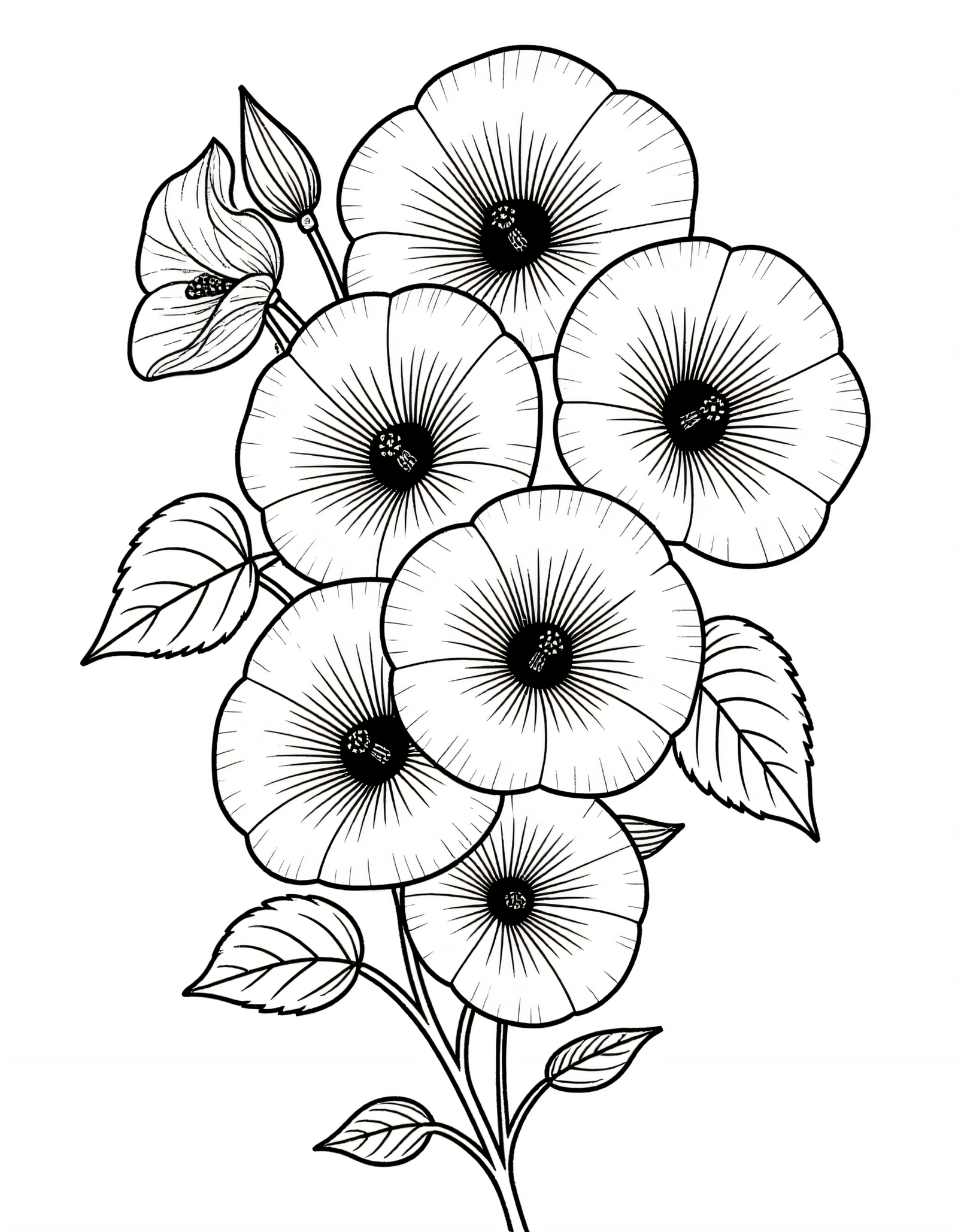 Coloriage Bougainvillier, variante 4