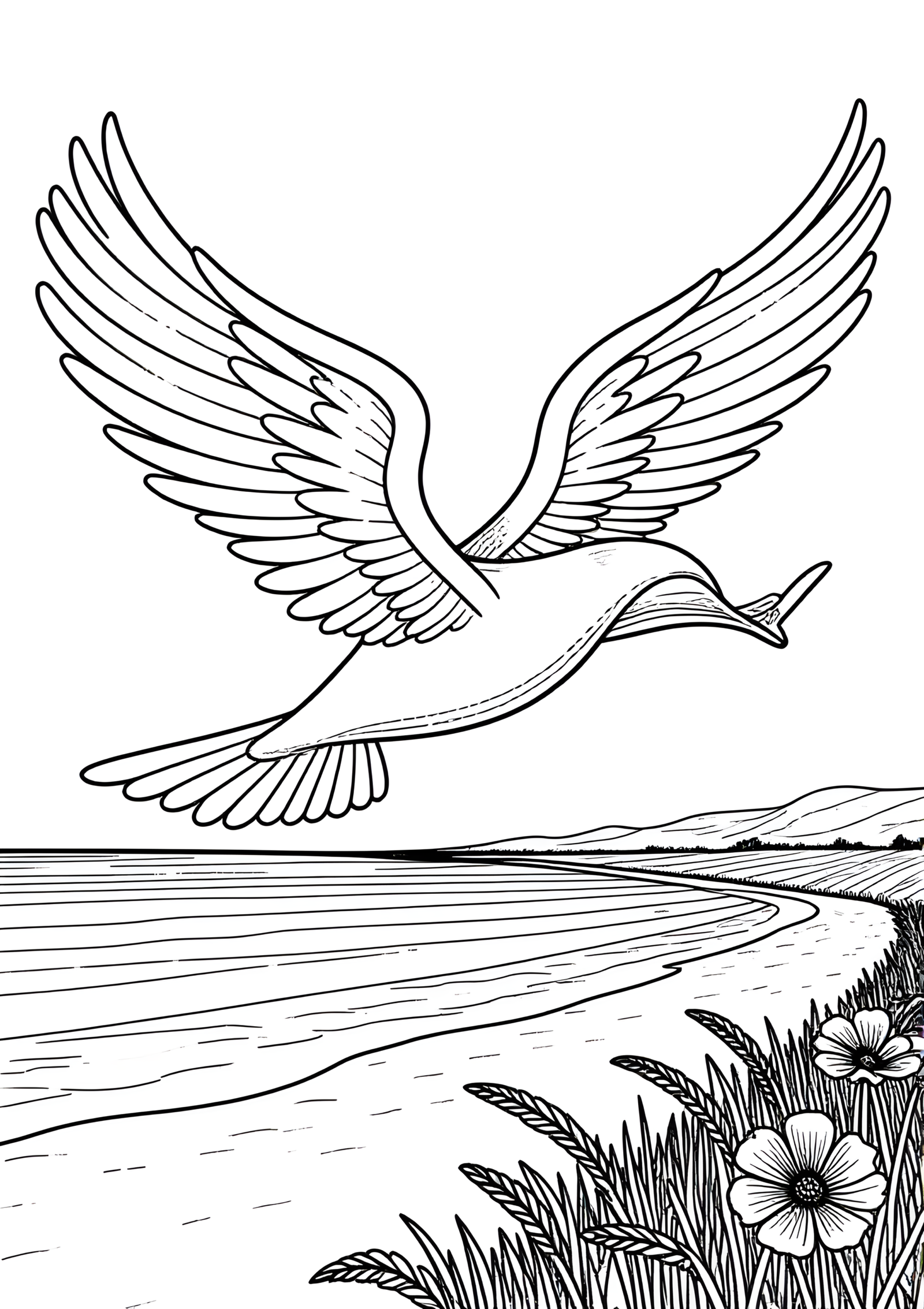 Coloriage Avion à voilure en toile, variante 4