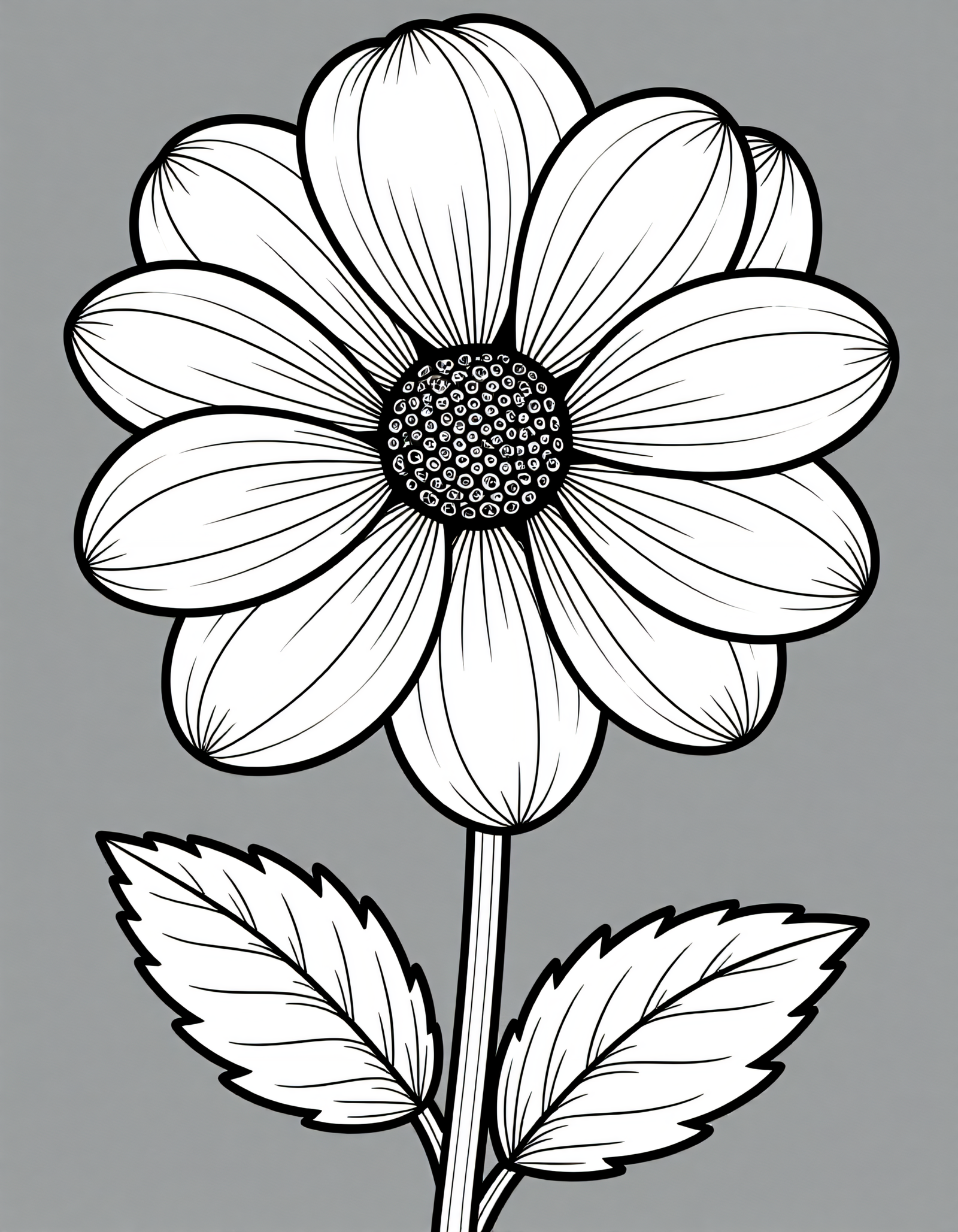 Coloriage Dahlia, variante 4