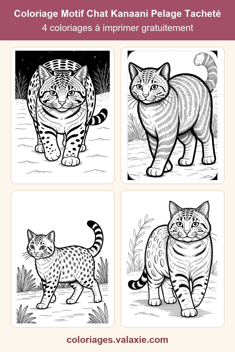 Epingle Pinterest de ce coloriage