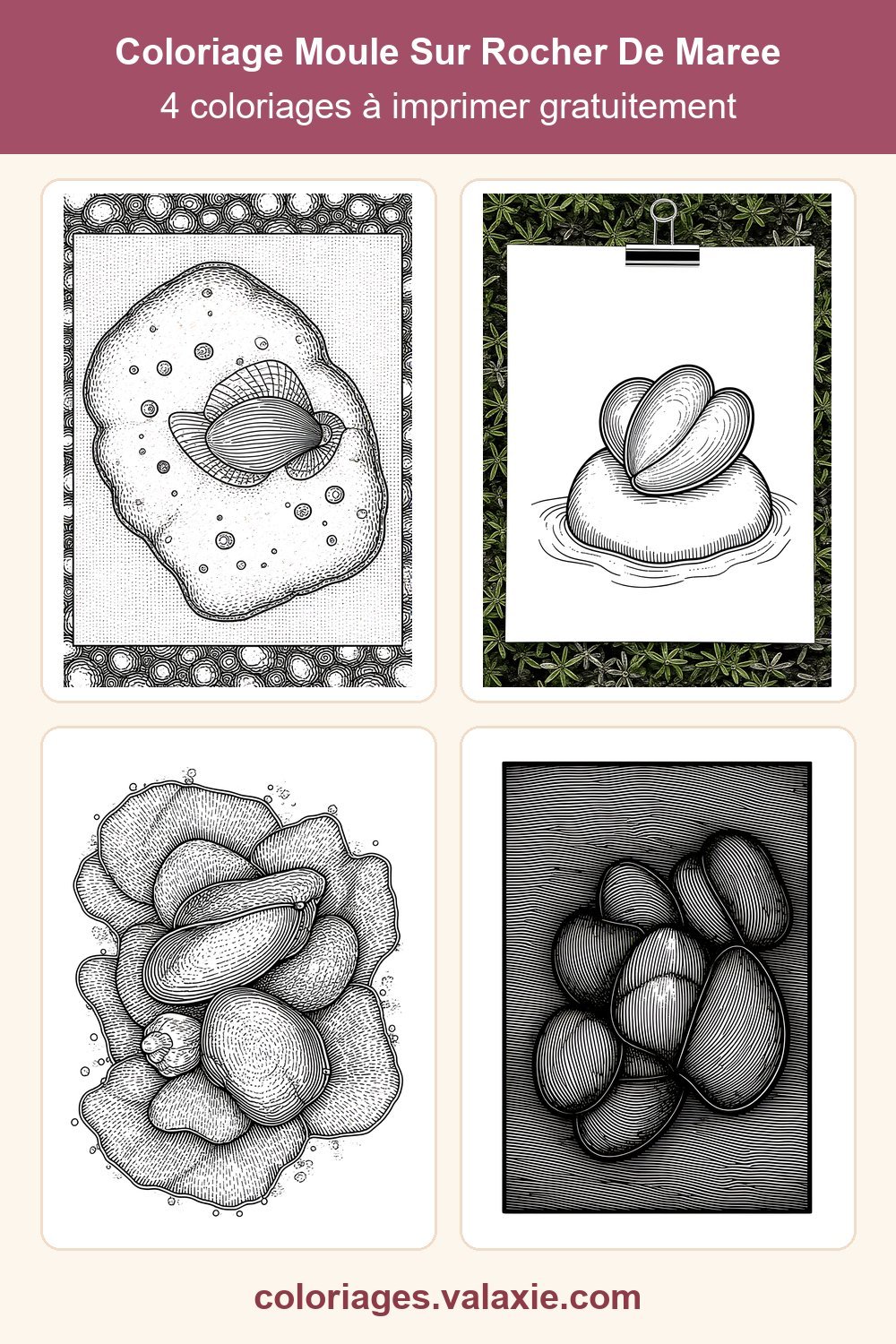 Epingle Pinterest de ce coloriage