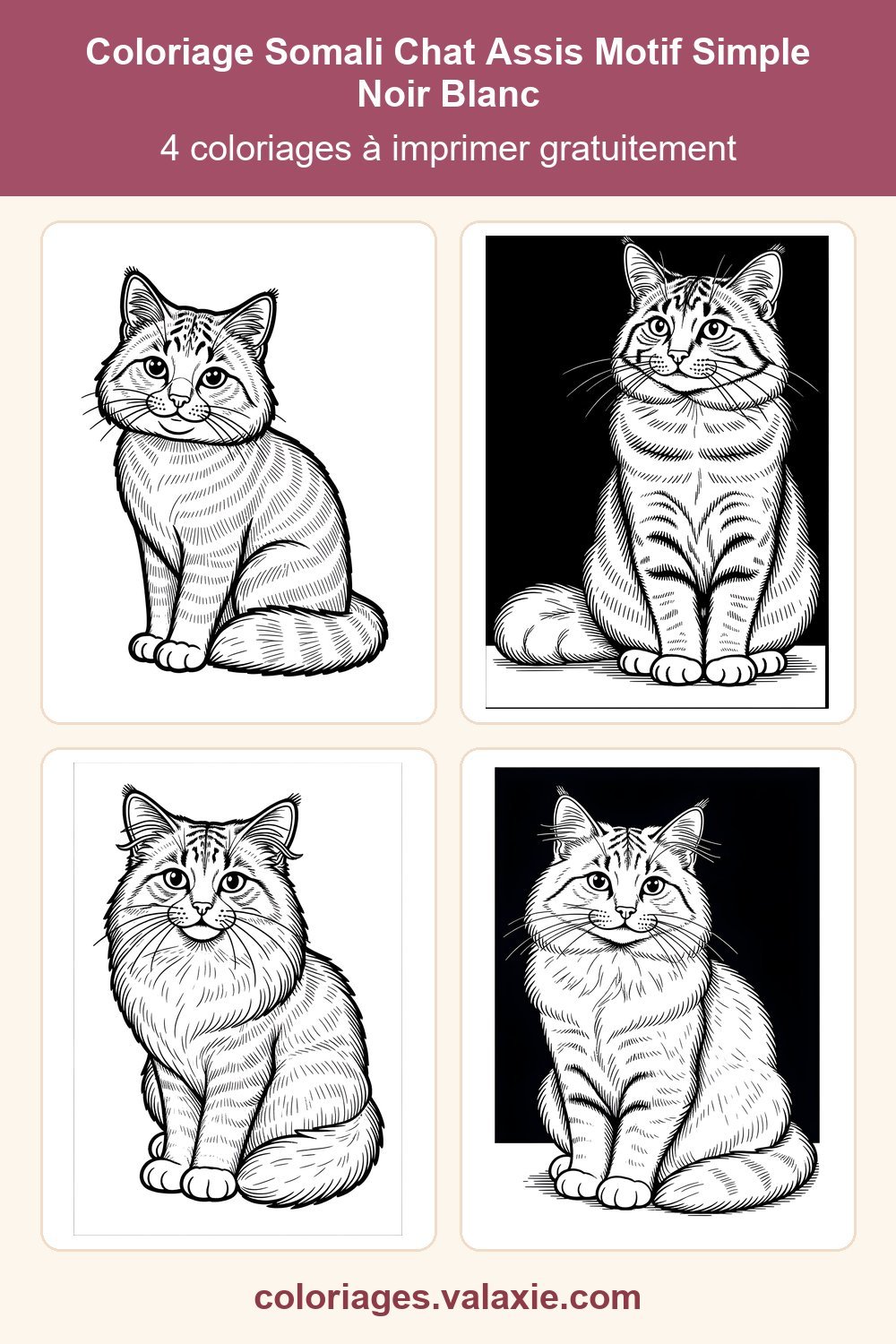 Epingle Pinterest de ce coloriage