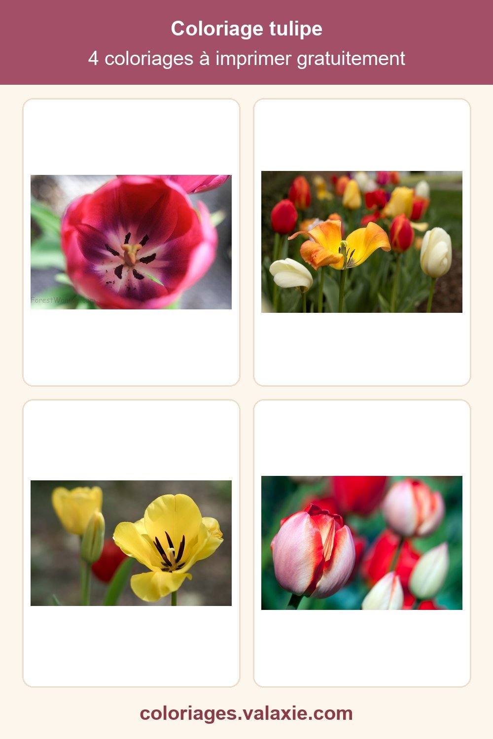 Epingle Pinterest de ce coloriage