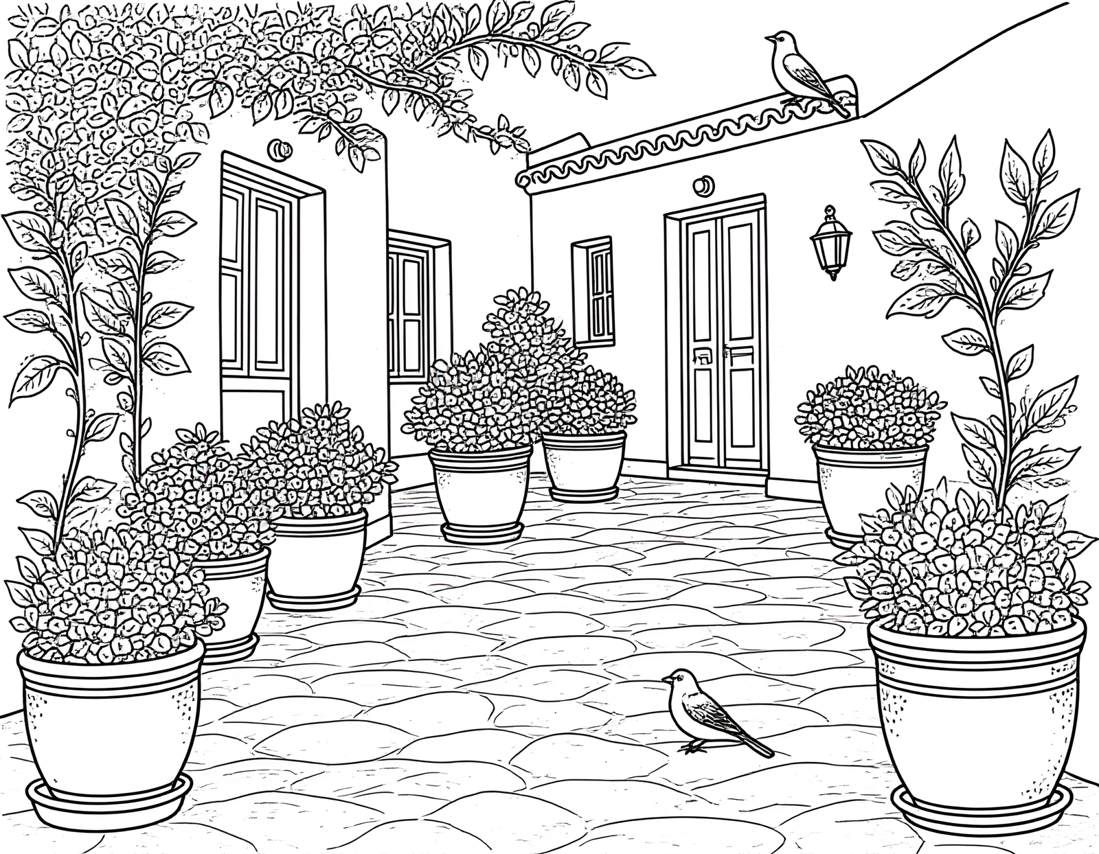 Coloriage jardin grec aux bougainvilliers blanchis, variante 2