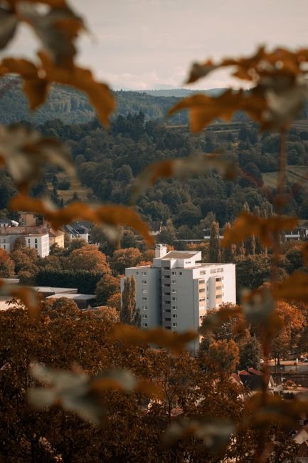 Photo d'un vrai ballon au-dessus de la Forêt d’Automne