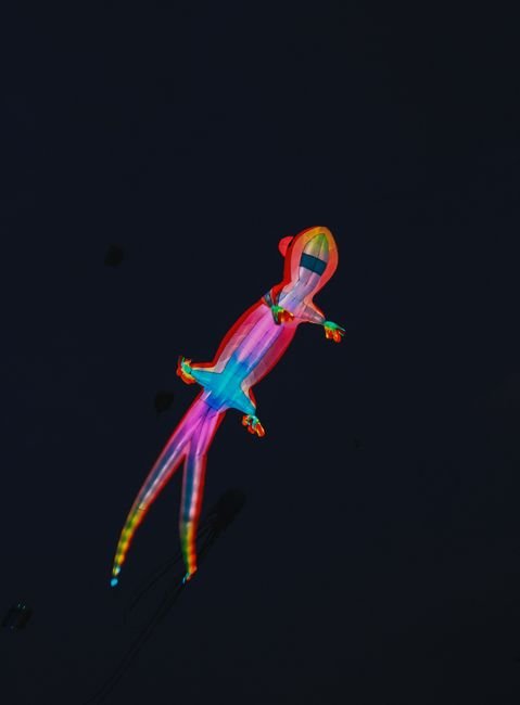 Photo d'un vrai cERF-VOLANT CAISSON