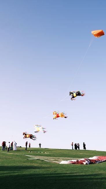 Photo d'un vrai cERF-VOLANT CAISSON