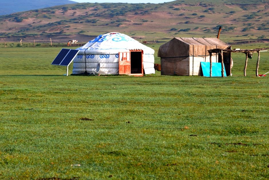 Photo d'un vrai cheval mongol paissant sur la steppe