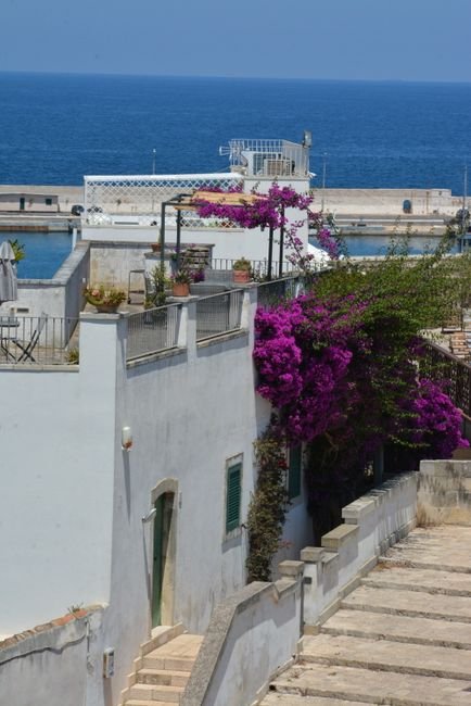 Photo d'un vrai escaliers sur quai vers un port tranquille