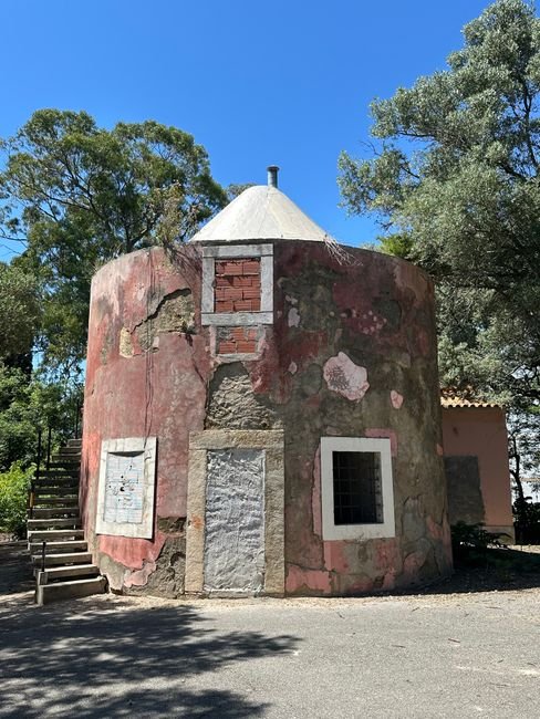 Photo d'un vrai moulin Portugais à Coupole Conique