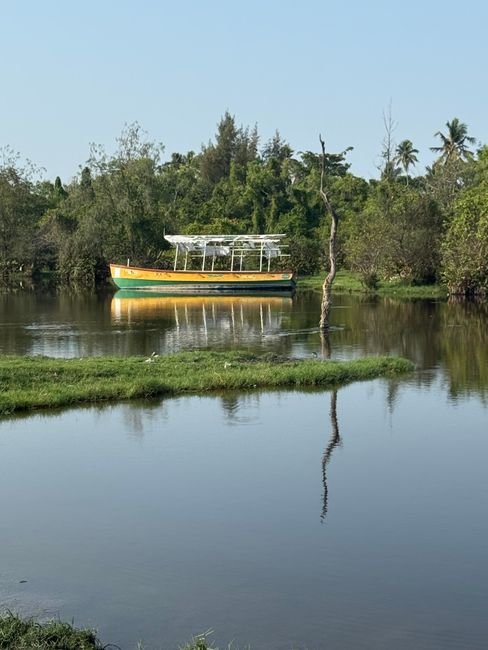 Photo d'un vrai Bateau traditionnel du Kerala