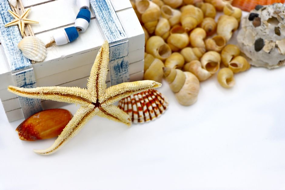 Photo d'un vrai coquille Saint-Jacques Enfouie Dans Le Sable