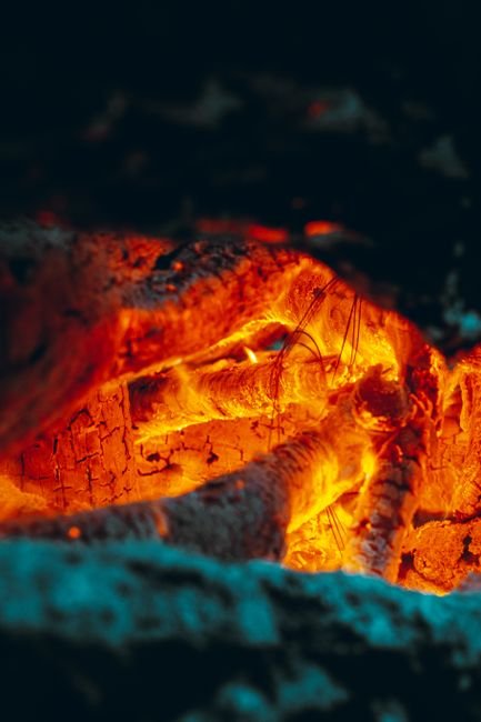 Photo d'un vrai dragon de Feu Dormant sur un Lit de Braises