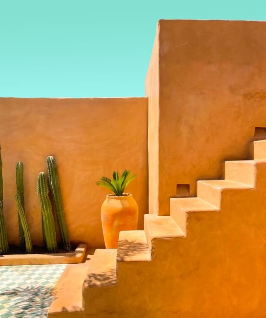 Photo d'un vrai famille De Cactus En Pots Sur Un Patio