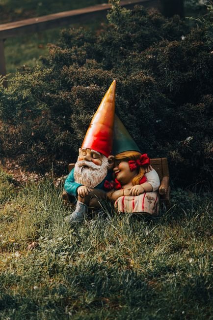 Photo d'un vrai gnome Endormi Sous Arbuste