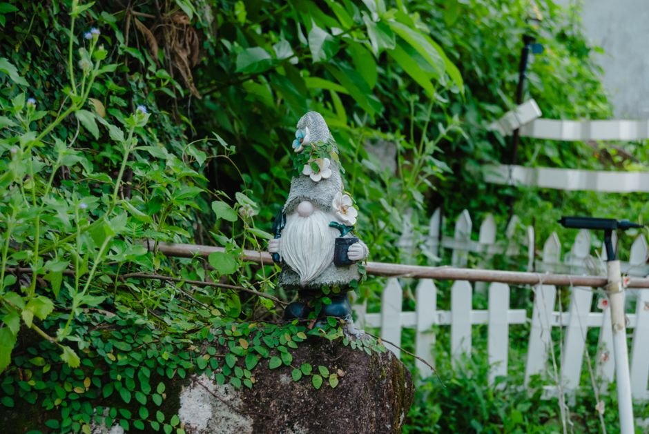 Photo d'un vrai gnome Endormi Sous Arbuste