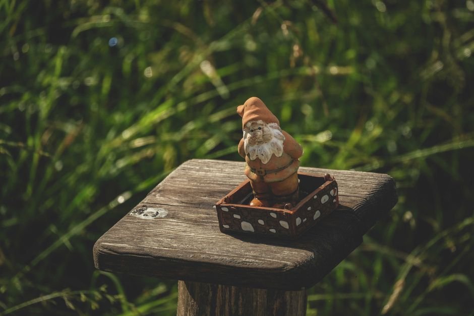 Photo d'un vrai gnome Endormi Sous Arbuste