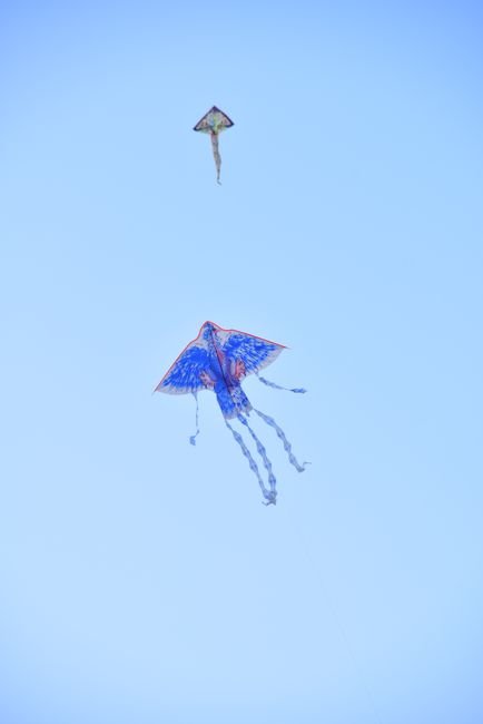 Photo d'un vrai cerf-Volant Miniature Entre Deux Doigts