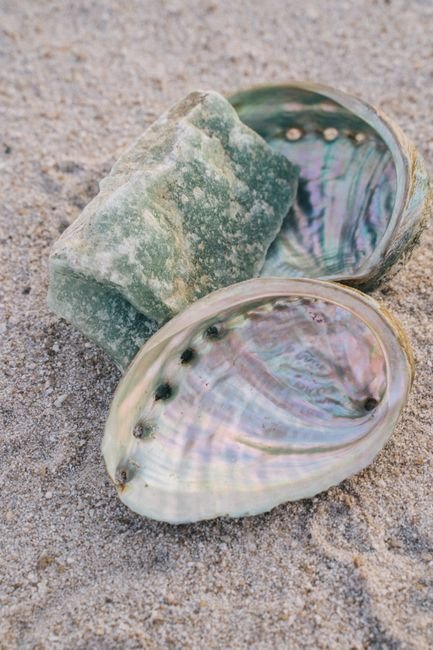 Photo d'un vrai cOQUILLE D’ORMEAU NACRÉE