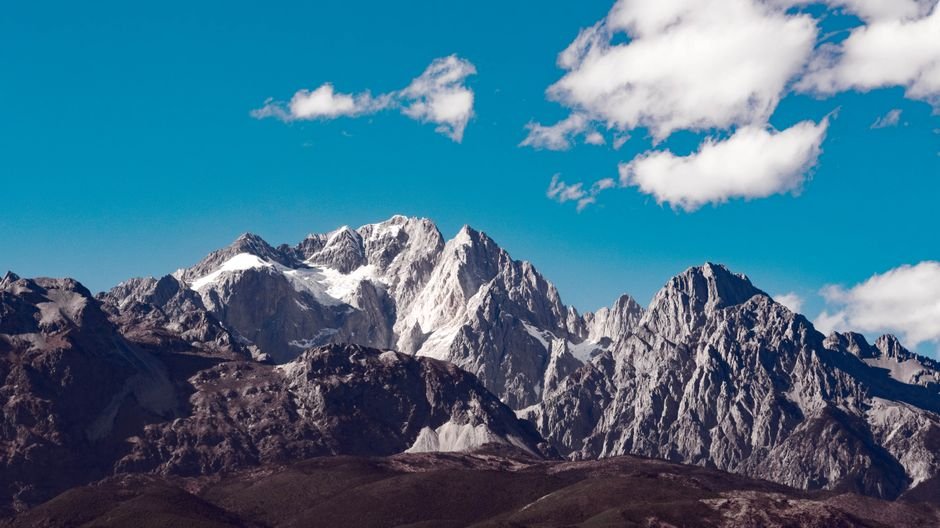 Photo d'un vrai dragon de Montagne au Trésor