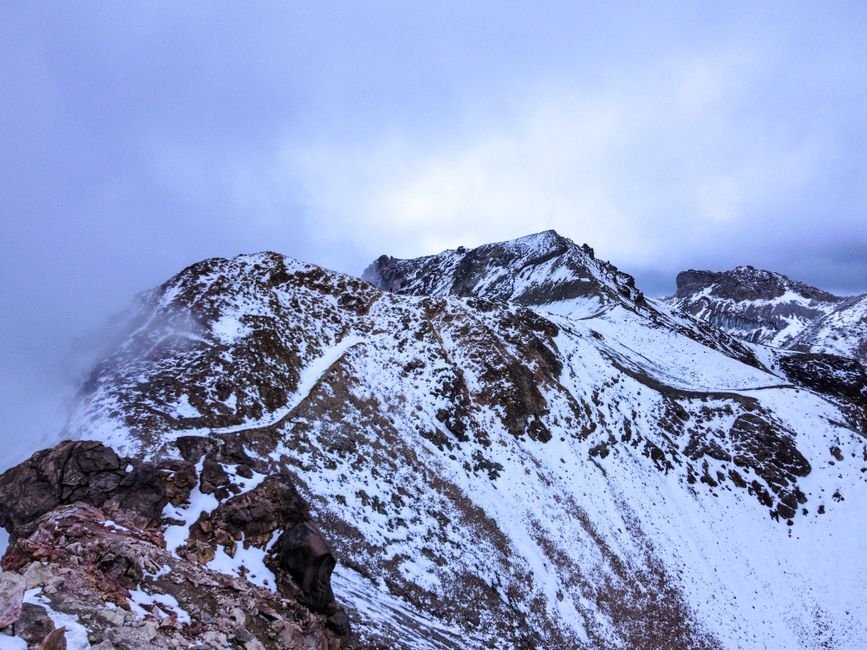 Photo d'un vrai dragon de Montagne au Trésor