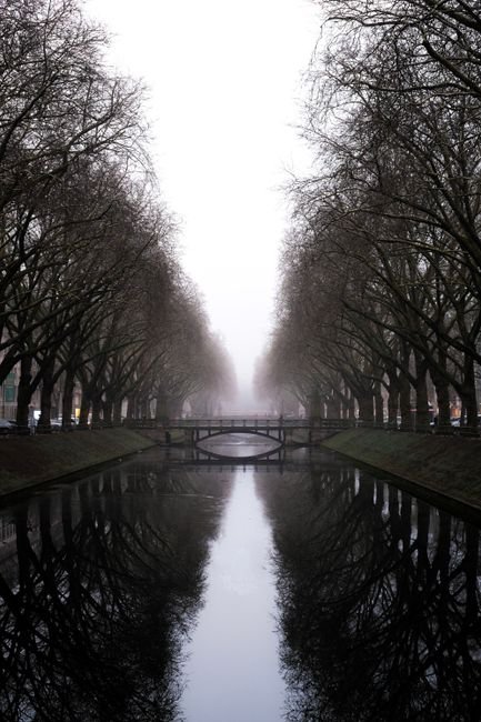Photo d'un vrai canal d’Hiver dans la Brume