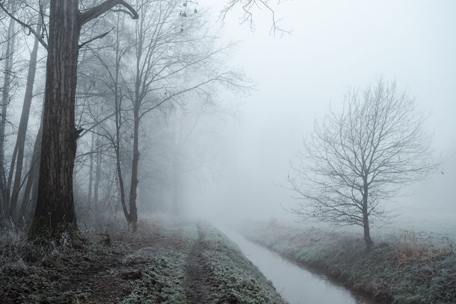 Photo d'un vrai canal d’Hiver dans la Brume