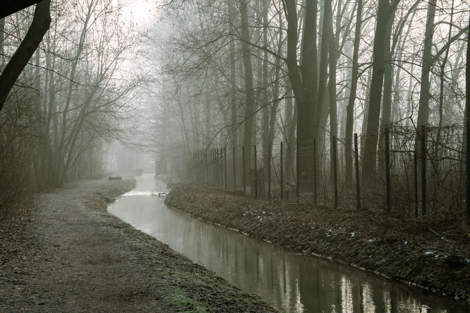 Photo d'un vrai canal d’Hiver dans la Brume