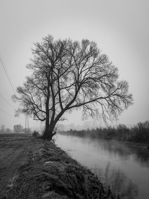 Photo d'un vrai canal d’Hiver dans la Brume
