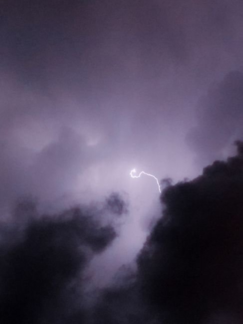 Photo d'un vrai dragon des Neiges du Pic Gelé