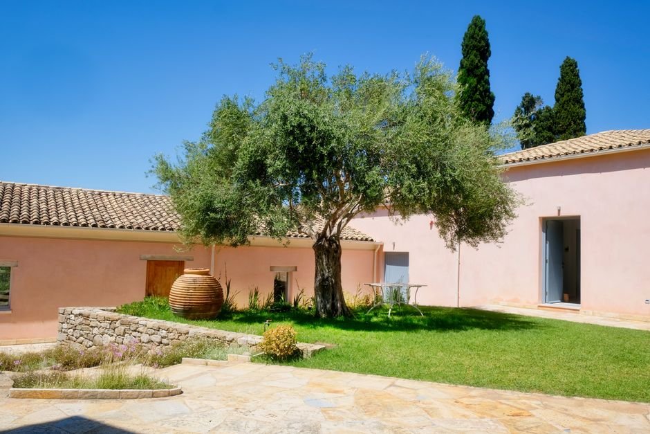 Photo d'un vrai jardin grec aux bougainvilliers blanchis
