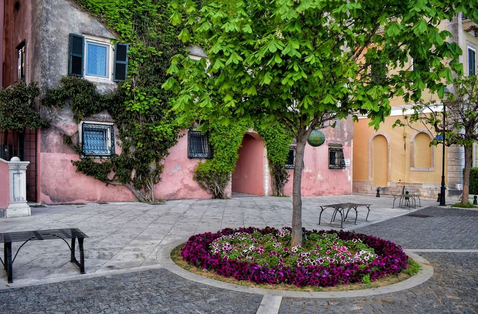 Photo d'un vrai jardin grec aux bougainvilliers blanchis