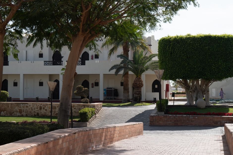 Photo d'un vrai jardin egyptien ancien palmeraies