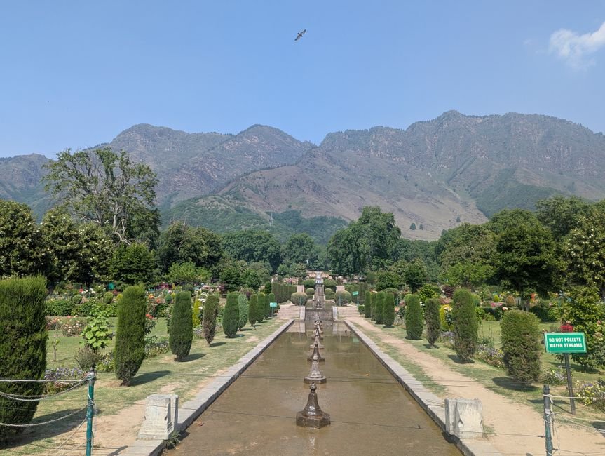 Photo d'un vrai jardin mughal indien roses geometriques