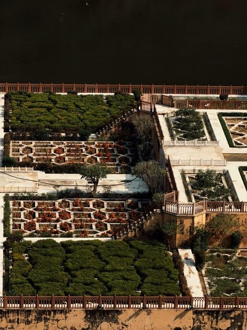 Photo d'un vrai jardin mughal indien roses geometriques