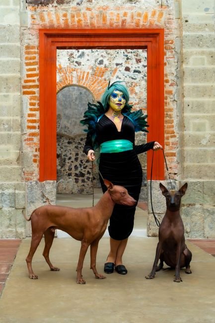 Photo d'un vrai xoloitzcuintli