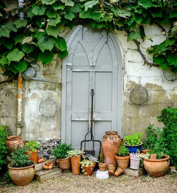 Photo d'un vrai jardin anglais aux herbes et abeilles