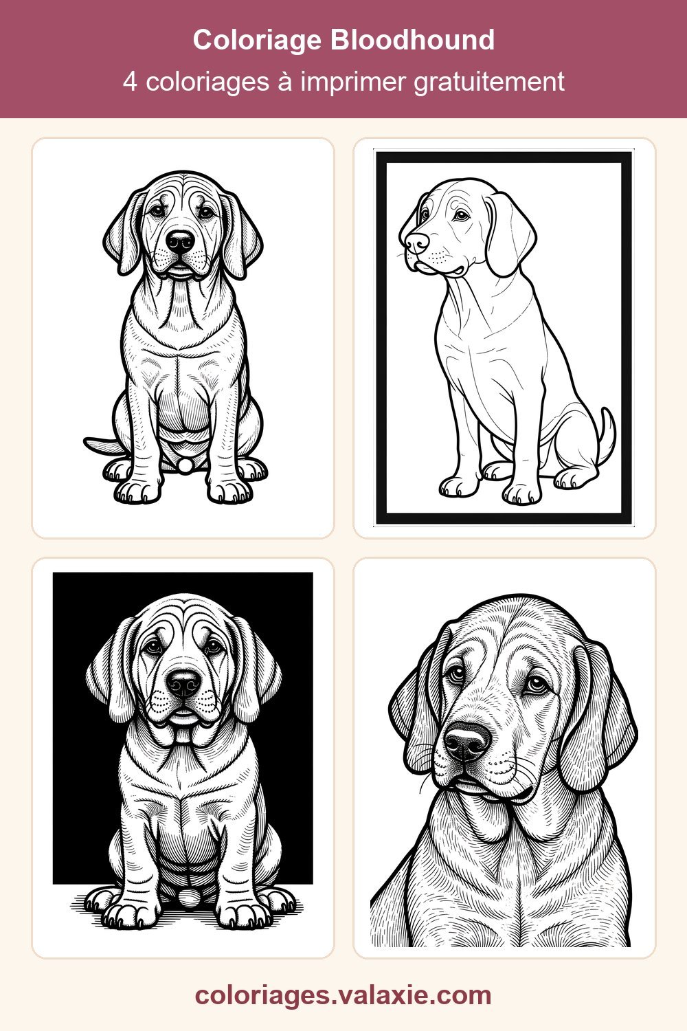 Epingle Pinterest de ce coloriage