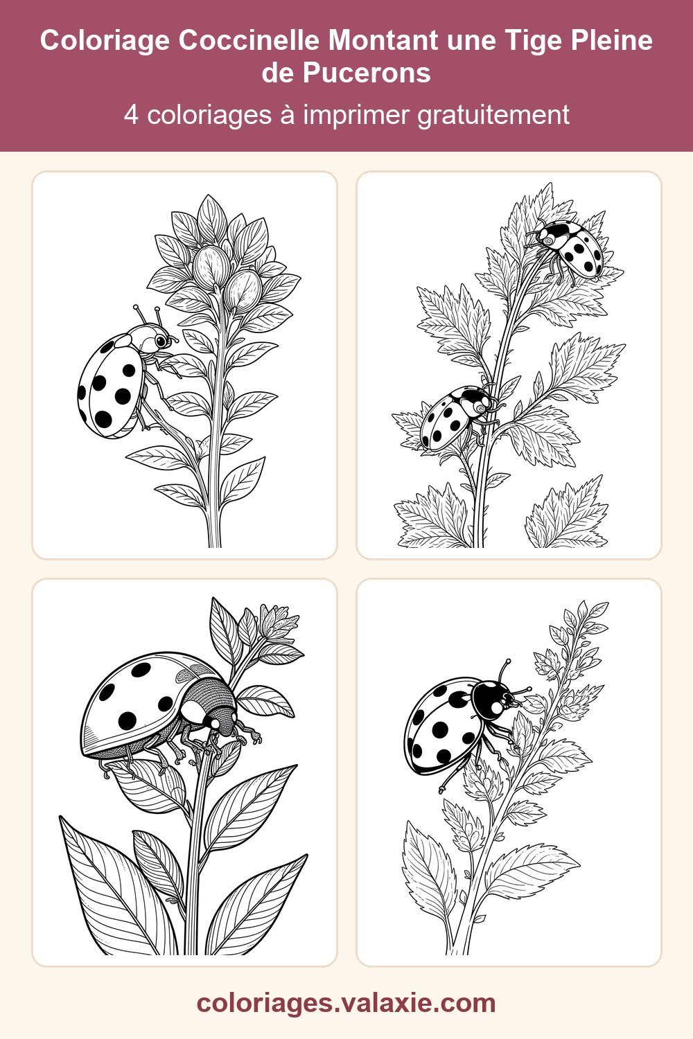 Epingle Pinterest de ce coloriage