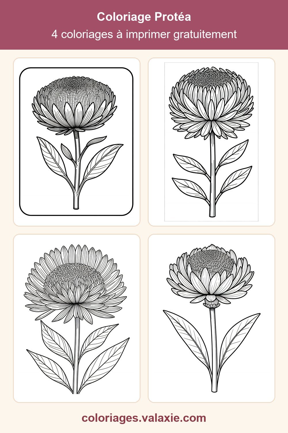 Epingle Pinterest de ce coloriage